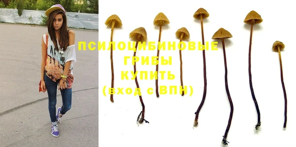 дмт Абинск