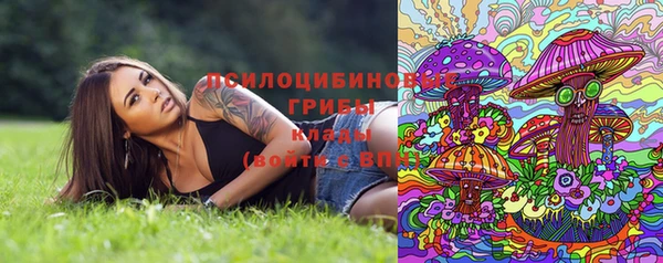 дмт Абинск