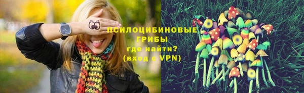дмт Абинск