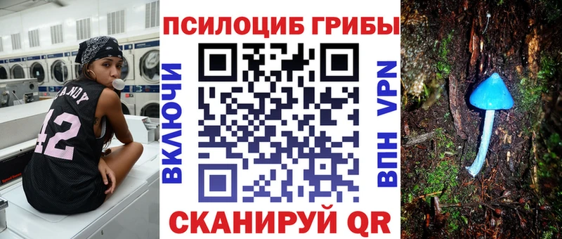 МЕГА ТОР  Киселёвск  Галлюциногенные грибы GOLDEN TEACHER  купить  сайты 